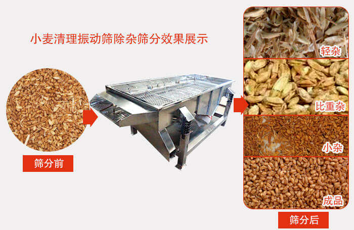 小麦清理妖精动漫官网小麦筛分效果展示图可同时筛分出轻杂，比重杂，小杂，成品等四个等级。